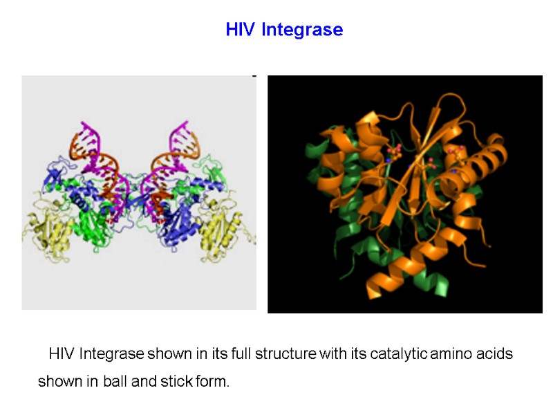 HIV Integrase shown in its full structure with its catalytic amino acids shown in